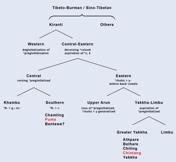 Kiranti Tree